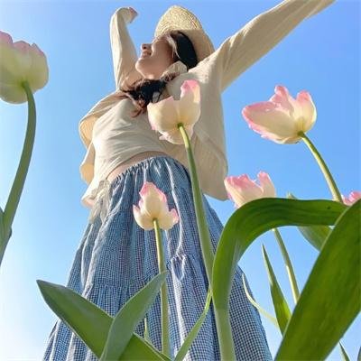 疯城记第二季